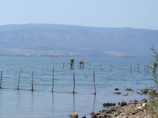 Immagine allegata alla scheda. Per averne una descrizione leggere i dettagli più in basso.